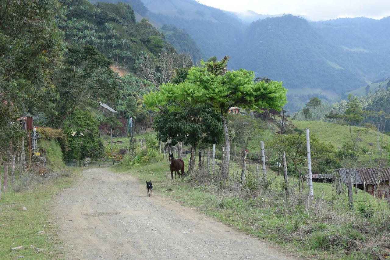 Creo Ecolodge ハルディン エクステリア 写真